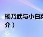 楊乃武與小白菜（說一說楊乃武與小白菜的簡介）