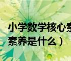 小學(xué)數(shù)學(xué)核心素養(yǎng)是什么意思（小學(xué)數(shù)學(xué)核心素養(yǎng)是什么）
