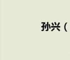 孫興（說(shuō)一說(shuō)孫興的簡(jiǎn)介）
