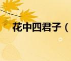 花中四君子（說一說花中四君子的簡介）