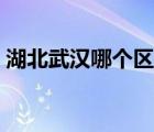 湖北武漢哪個(gè)區(qū)最繁華（武漢哪個(gè)區(qū)最繁華）
