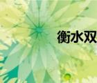 衡水雙師教育（雙師教育）