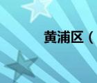 黃浦區(qū)（說一說黃浦區(qū)的簡介）