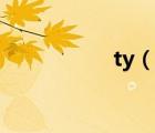 ty（說(shuō)一說(shuō)ty的簡(jiǎn)介）