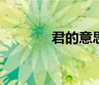 君的意思和含義（君的意思）