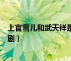 上官雪兒和武天祥是什么電視劇名字（上官雪兒武天祥電視劇）