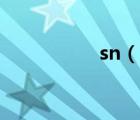 sn（說一說sn的簡介）