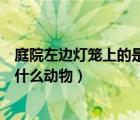 庭院左邊燈籠上的是什么（庭院左邊活動燈籠許愿架上站著什么動物）
