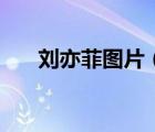 劉亦菲圖片（劉亦菲陪干爹輪流過(guò)夜）