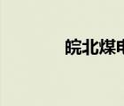 皖北煤電集團(tuán)招標(biāo)網(wǎng)（皖北）