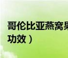 哥倫比亞燕窩果多少錢一斤（哥倫比亞燕窩果功效）