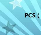 PCS（說一說PCS的簡(jiǎn)介）