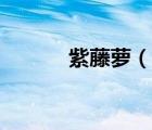 紫藤蘿（說一說紫藤蘿的簡介）