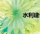 水利建設(shè)基金計(jì)入什么科目