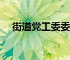 街道黨工委委員是干什么（街道黨工委）