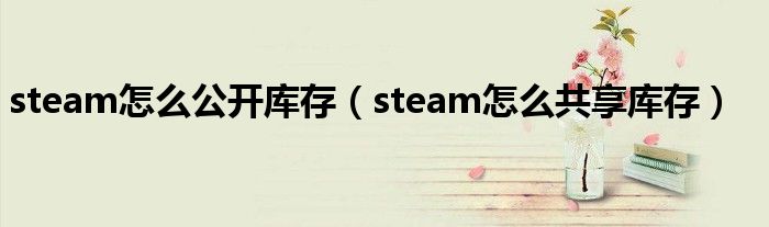 steam怎么公開(kāi)庫(kù)存（steam怎么共享庫(kù)存）