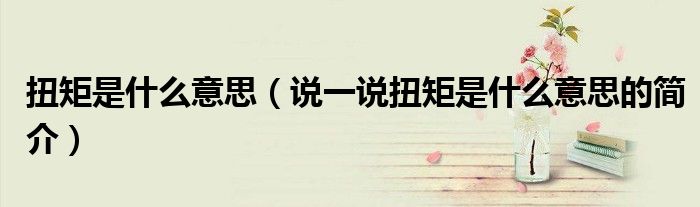 扭矩是什么意思（說一說扭矩是什么意思的簡(jiǎn)介）