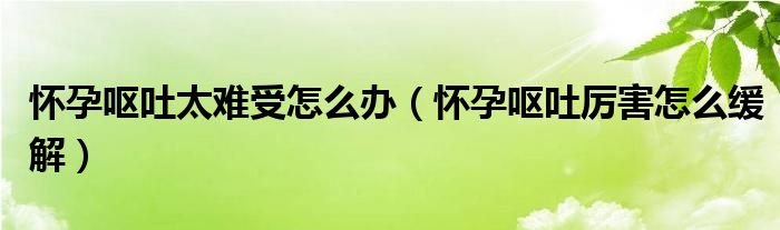 懷孕嘔吐太難受怎么辦（懷孕嘔吐厲害怎么緩解）