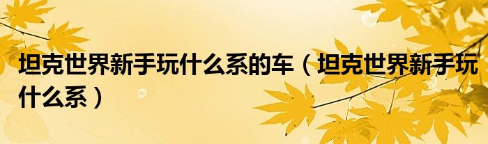 坦克世界新手玩什么系的車（坦克世界新手玩什么系）