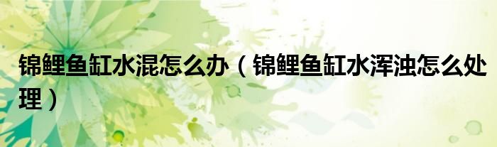 錦鯉魚缸水混怎么辦（錦鯉魚缸水渾濁怎么處理）