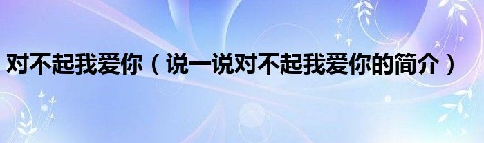 對不起我愛你（說一說對不起我愛你的簡介）