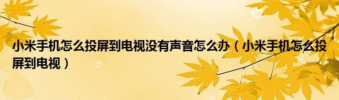 小米手機(jī)怎么投屏到電視沒(méi)有聲音怎么辦（小米手機(jī)怎么投屏到電視）