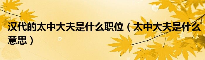 漢代的太中大夫是什么職位（太中大夫是什么意思）