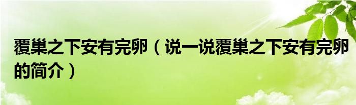 覆巢之下安有完卵（說一說覆巢之下安有完卵的簡介）