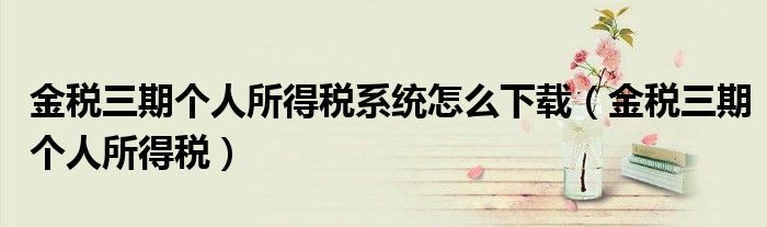 金稅三期個(gè)人所得稅系統(tǒng)怎么下載（金稅三期個(gè)人所得稅）