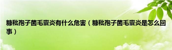 糠秕孢子菌毛囊炎有什么危害（糠秕孢子菌毛囊炎是怎么回事）