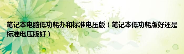 筆記本電腦低功耗辦和標(biāo)準(zhǔn)電壓版（筆記本低功耗版好還是標(biāo)準(zhǔn)電壓版好）