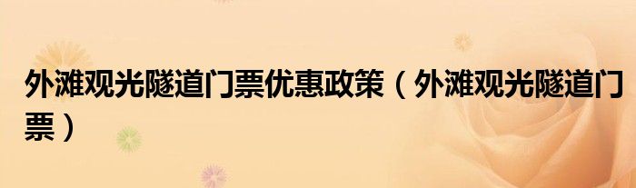 外灘觀光隧道門票優(yōu)惠政策（外灘觀光隧道門票）