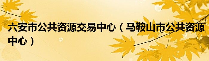 六安市公共資源交易中心（馬鞍山市公共資源中心）