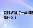 愛好旅游打一成語是什么成語零存整?。◥酆寐糜未蛞怀烧Z是什么）