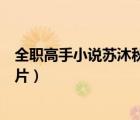 全職高手小說(shuō)蘇沐秋片段（求一張全職高手傘哥蘇沐秋的圖片）