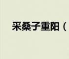 采桑子重陽（說一說采桑子重陽的簡介）