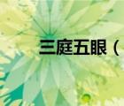 三庭五眼（說一說三庭五眼的簡介）