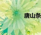 唐山條約百科（唐山條約）