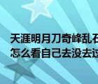 天涯明月刀奇峰亂石頭成就（天涯明月刀隱藏成就奇峰亂石怎么看自己去沒去過）