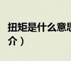 扭矩是什么意思（說一說扭矩是什么意思的簡(jiǎn)介）