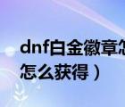dnf白金徽章怎么獲得2021（DNF白金徽章怎么獲得）