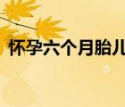 懷孕六個月胎兒圖（懷孕7個月胎兒有幾斤）