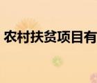 農(nóng)村扶貧項(xiàng)目有哪些（農(nóng)村有哪些扶貧項(xiàng)目）