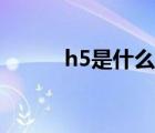 h5是什么軟件（h5是什么東西）