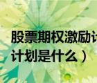 股票期權(quán)激勵計劃是什么意思（股票期權(quán)激勵計劃是什么）
