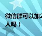 微信群可以加2000人嗎（微信群可以加1000人嗎）