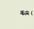 毛尖（說一說毛尖的簡介）