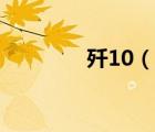 殲10（說一說殲10的簡介）