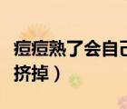 痘痘熟了會自己好嗎（痘痘熟了自己消好還是擠掉）