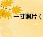 一寸照片（說一說一寸照片的簡介）